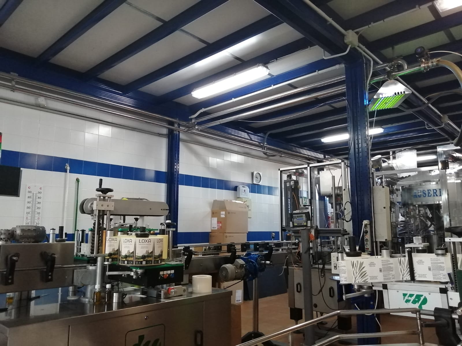 Cadena de Montaje Loxa